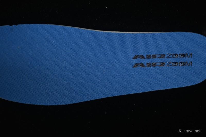 Nike SB Day One Low Top Casual Skate Shoes with Air Zoom Cushion - FN4210-100